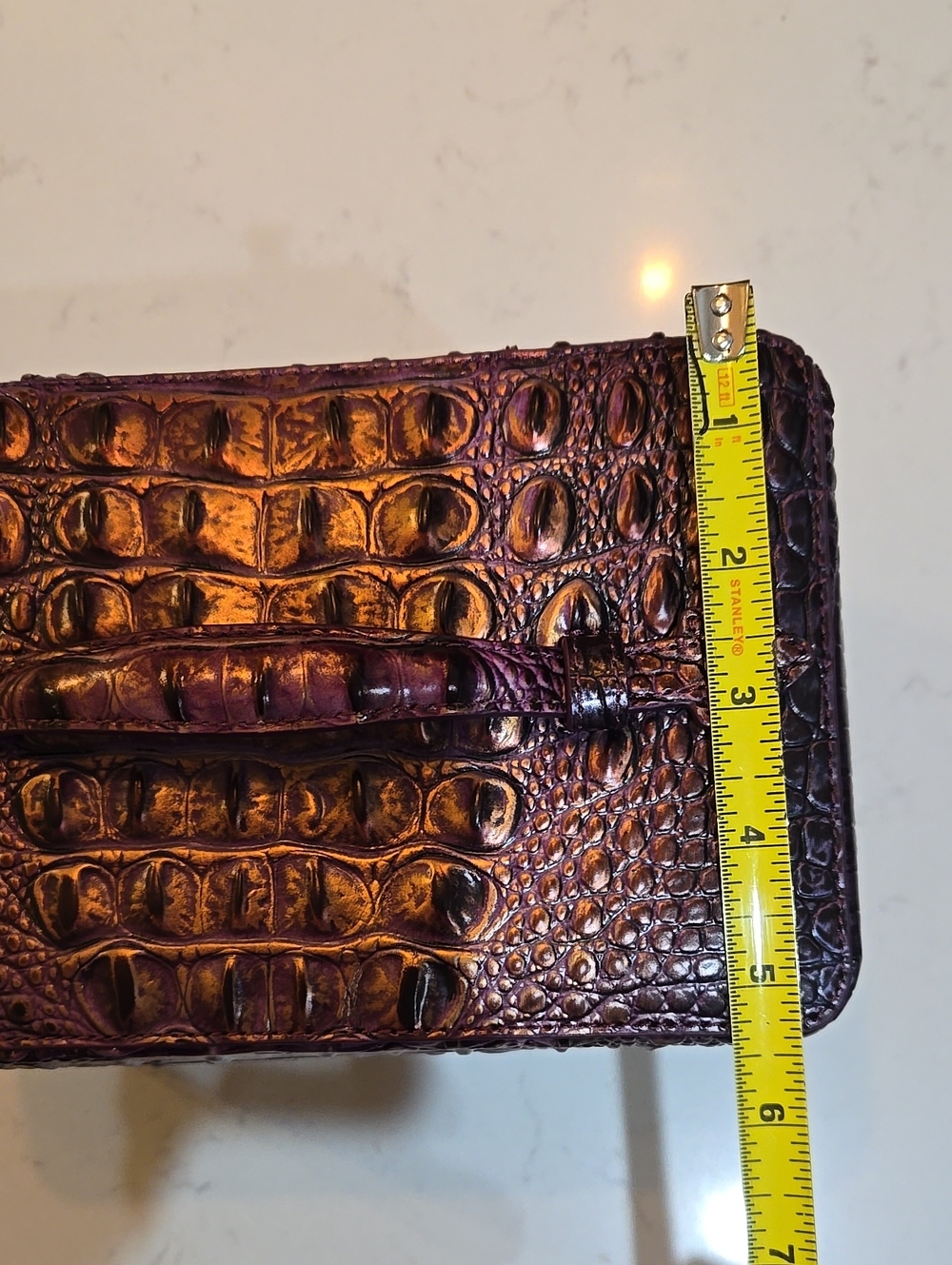 NWOT Large 8.5 X 6 X 5 Brahmin Cosmetic Case - Picture 6 of 7
